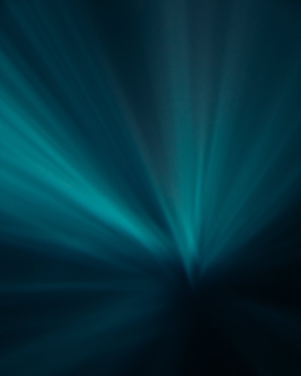 cinnadine's tweet image. A play of light 🌊