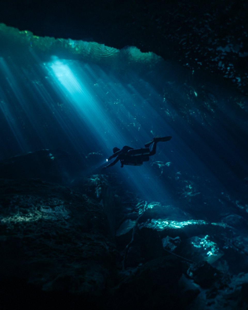 cinnadine's tweet image. A play of light 🌊