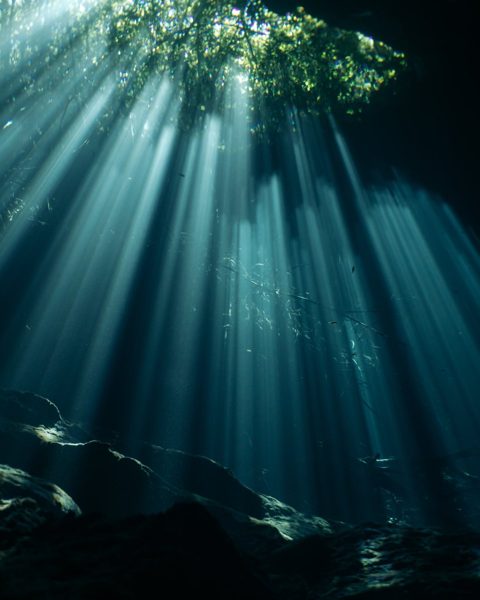 cinnadine's tweet image. A play of light 🌊