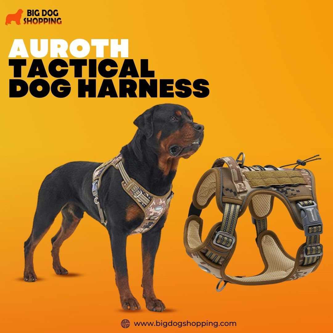 BigDogShopping's tweet photo. Adventure awaits! 😍
Take your furry friend on outdoor escapades with this durable and versatile dog harness 🏔️🐾

👉🏻 Order yours now!

🌐 https://t.co/bVP2WQClo5
.
.
.
#dogharness
#dogcollar
#petaccessories
#dogwalks
#nopull
#happydog
#safetyfirst
#carrides
#adventuredog https://t.co/Ea76eEbnOR