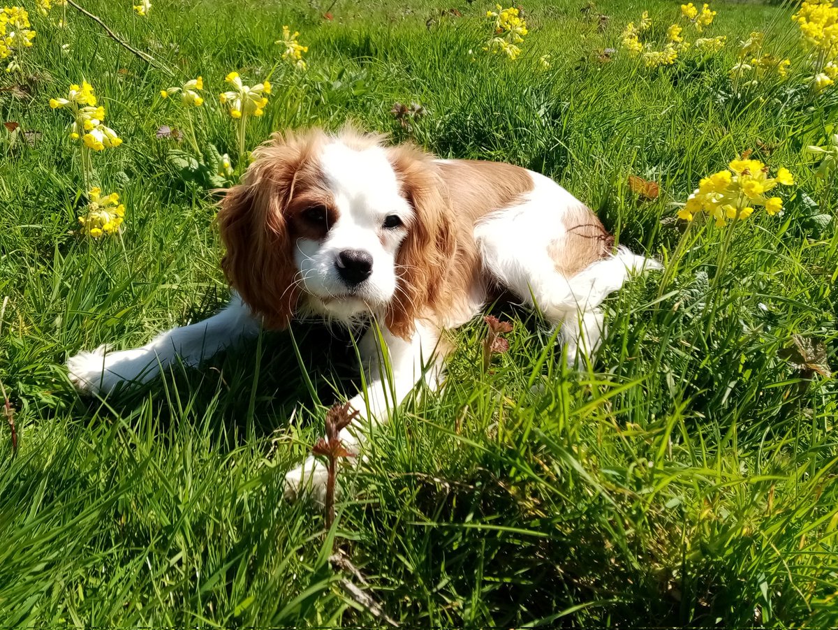 Jo Sunderland tweet media