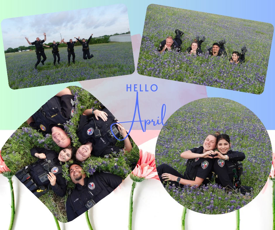 Red Oak Police Dept tweet media