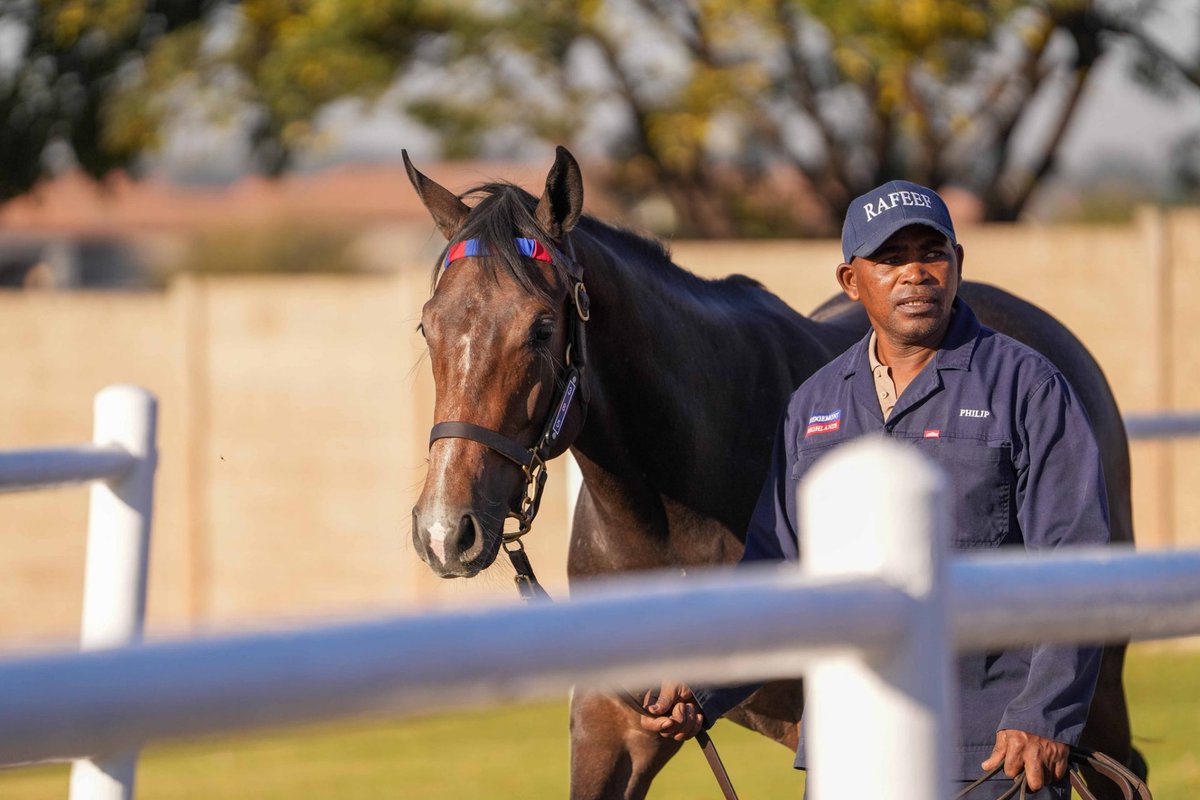 It's More Fun Fishing Where The Fish Are
Read more on It's More Fun Fishing Where The Fish Are on Sporting Post, bringing you the latest in Horse Racing News, Previews and Reviews.
sportingpost.co.za/breeding/its-m…