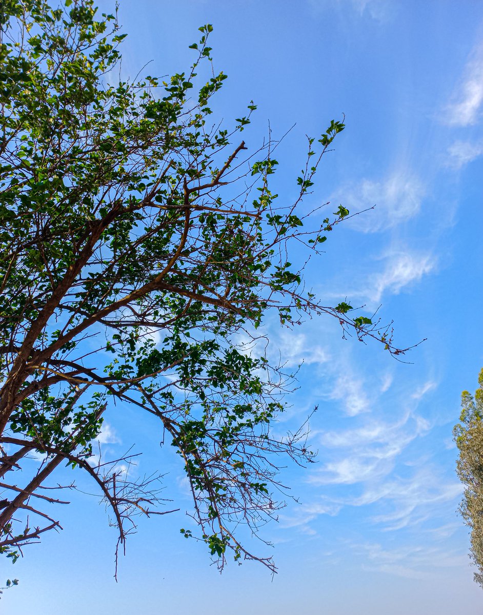 roka (@roka31999) on Twitter photo 