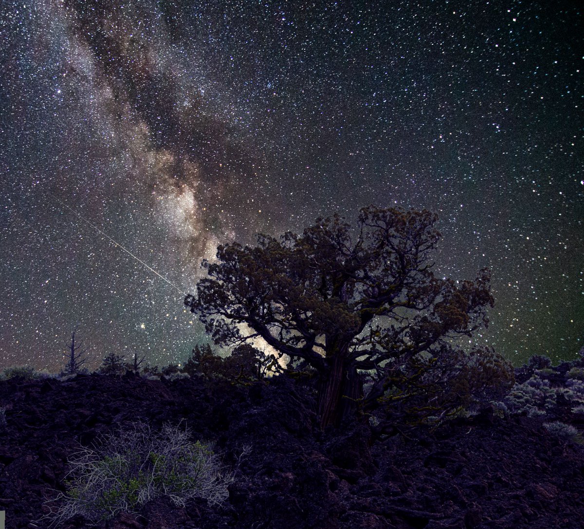 BLM Oregon & Washington tweet media