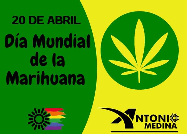 #DíaMundiaDeLaMarihuana 🟢 | La prohibición del uso lúdico de la #mariguana ha dañado la seguridad y la economía de 🇲🇽#México. Llamamos al #CongresoDeLaUnión a legislar con base en la inconstitucionalidad declarada por la @SCJN en 2021 en torno a la prohibición de su uso.