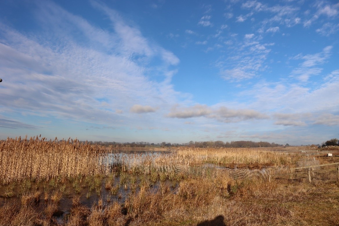 In 2018, we began creating fen habitat on a lake shore formed by gravel extraction at Nosterfield Quarry.

On Fri 26th May, we'll be hosting a free workshop to share our findings with those interested in wetland creation.

To find out more please visit:
luct.org.uk/events-1