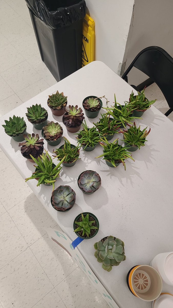 Over 60 plants have been sold! This is what we have left! Come and get a plant for your office, classroom, or home for $6 today! 🪴