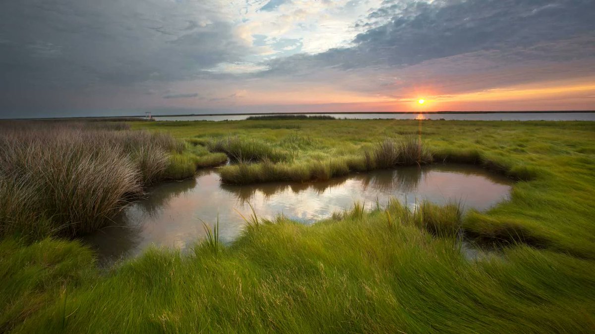 Michael Hydrogeology group (@michaelhydrolab) on Twitter photo Come work with the <a href="/MichaelHydroLab/">Michael Hydrogeology group</a>!
Applications are open for three postdoc positions in coastal hydrology, coastal biogeochemistry, and landscape ecology.
Position info in link: sites.udel.edu/michaelhydrola… Come work with the <a href="/MichaelHydroLab/">Michael Hydrogeology group</a>!
Applications are open for three postdoc positions in coastal hydrology, coastal biogeochemistry, and landscape ecology.
Position info in link: sites.udel.edu/michaelhydrola…