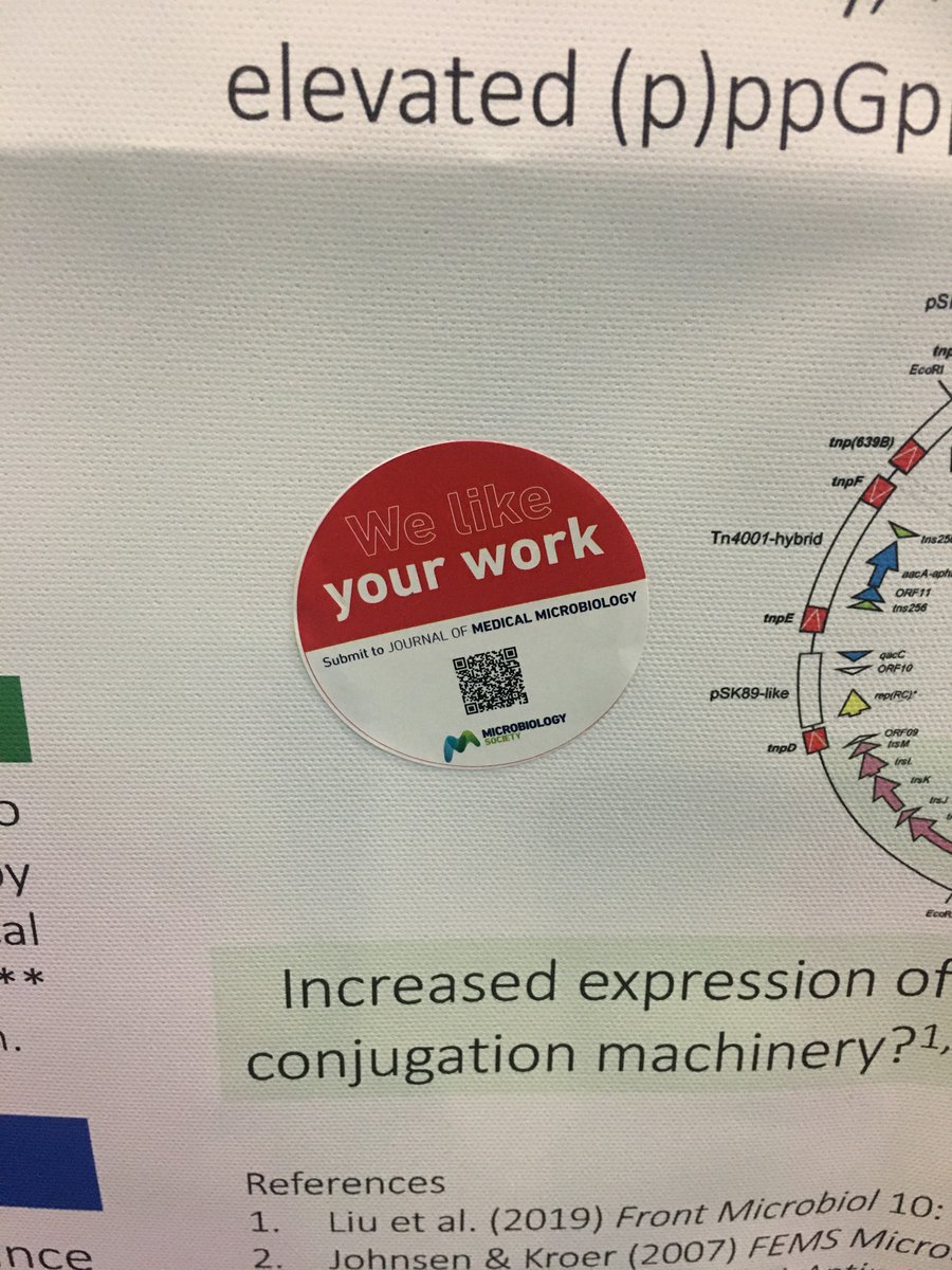 Hobbs_Lab_Micro's tweet image. Thank you @MicrobioSoc for a fantastic conference (and for providing childcare for those that need it). And thanks to #jmedmicro for liking my poster 😁 I’ll definitely be supporting the society by submitting our work to their journals in the near future. I better get writing! 📝