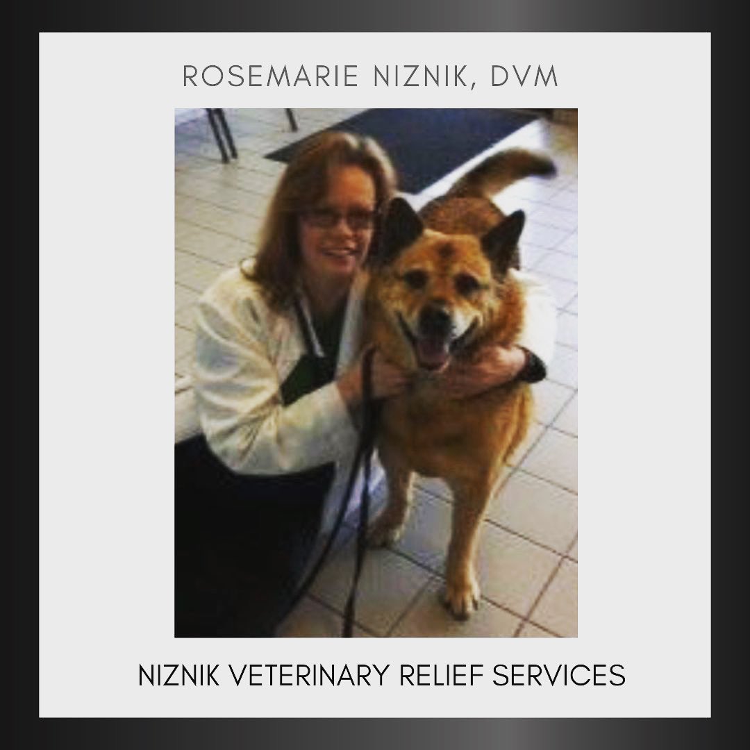 DrRoseDVM's tweet photo. Meet Dr. Rosemarie Niznik!
Growing up in Northeastern Pennsylvania, Dr. Niznik dreamed of becoming a veterinarian since grade school. She graduated from the University of Georgia College of Veterinary Medicine attaining her lifelong goal! #drrosedvm #reliefvet #veterinarymedicine https://t.co/bXxBNvV8gm