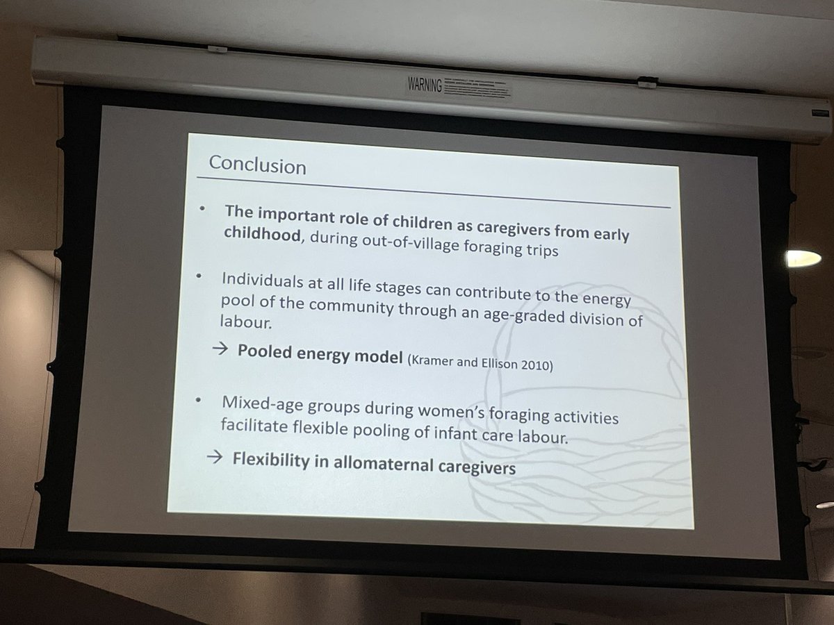 Hanuel Jang finds young children are important allomothers in BaYaka foragers, but allomotheing is also very flexible, with mothers getting help from individuals of all age groups #EHBEA2023