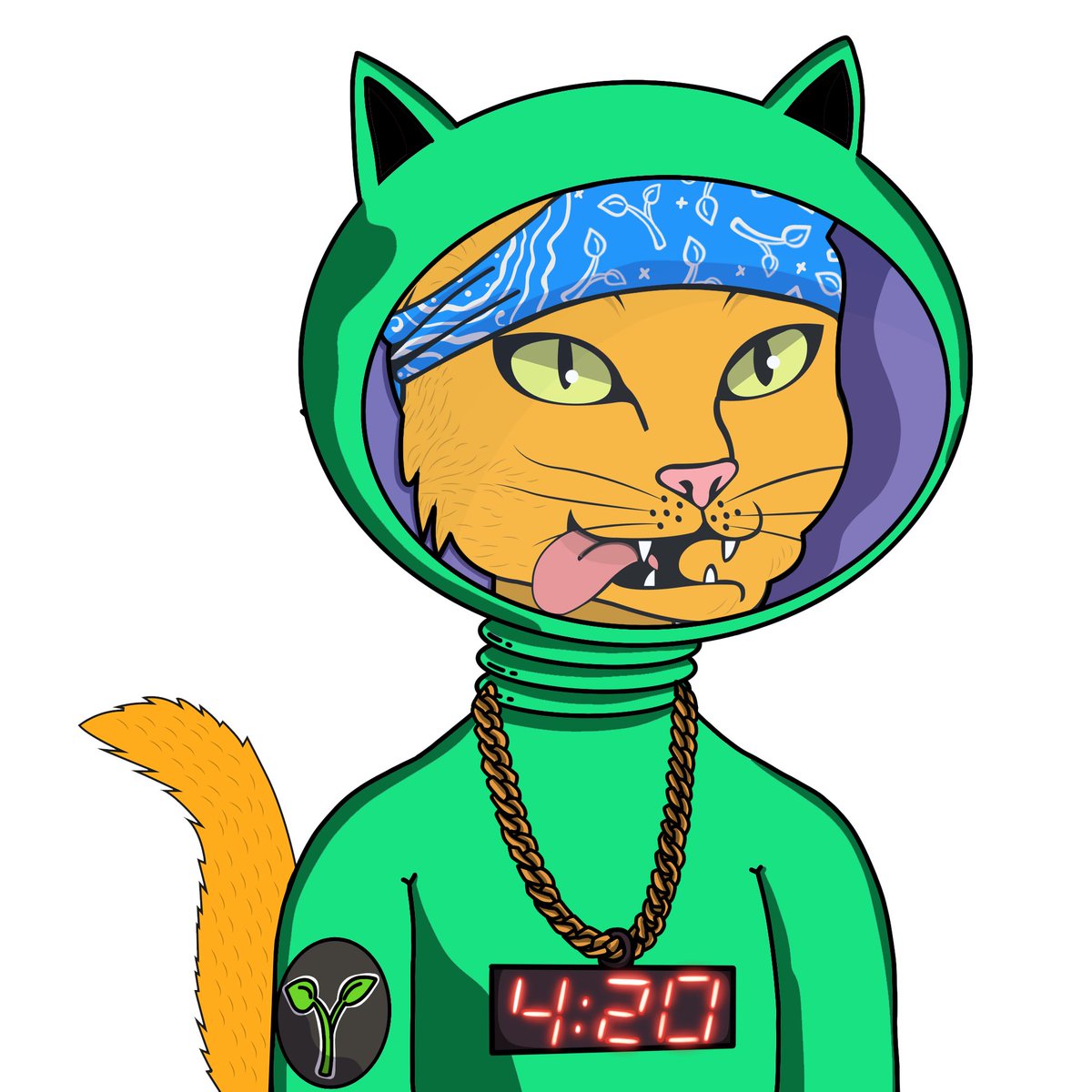 Space Time Cats 🌱 tweet media