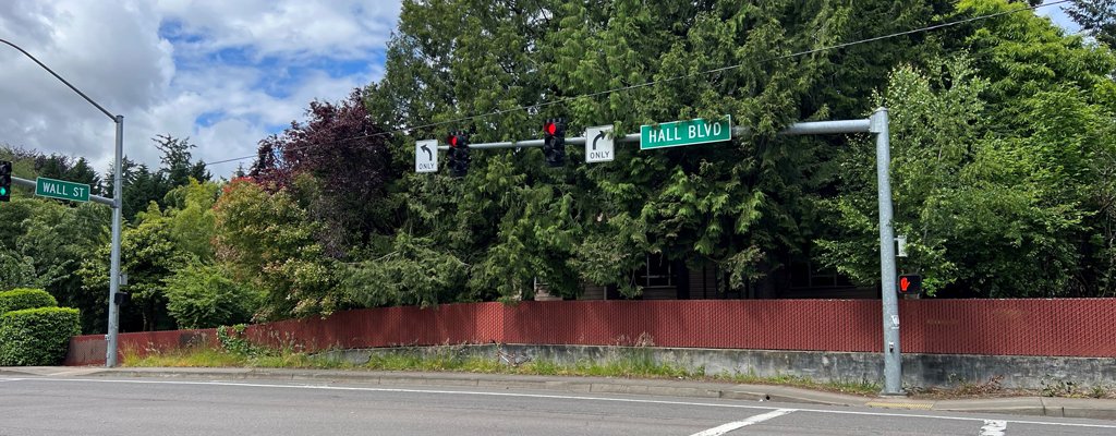 TigardOR's tweet photo. Your Turn...

Share your comments on proposed improvements for Hall Boulevard. #HallForAll

https://t.co/XBOZUopW80 https://t.co/Xh2i0qSlXf