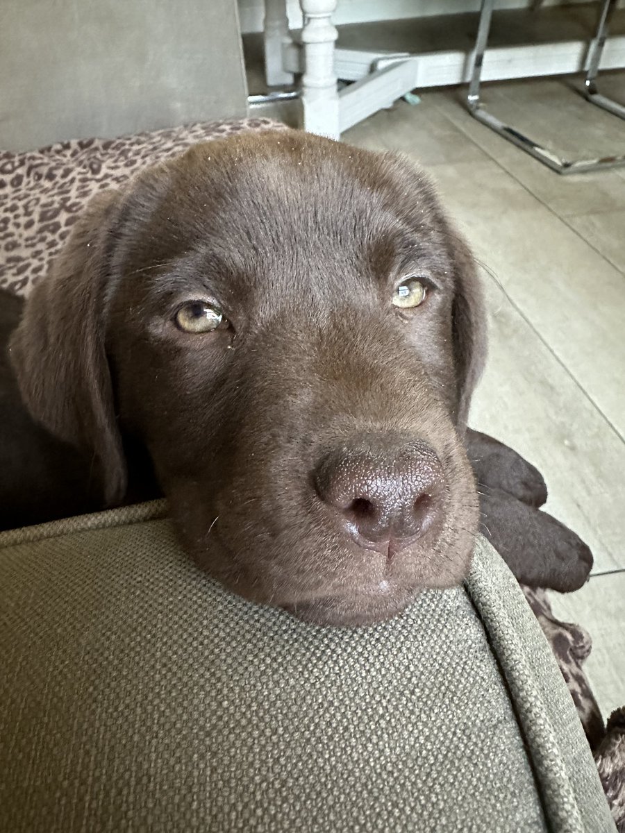 Butter wouldn’t melt … my backside ….. she should have come wiv a helf warning …