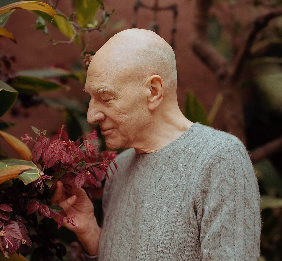 Herr_Ikithon's tweet photo. Sniff sniff 🥰 #SirPatrick https://t.co/fO0iiCO8vE