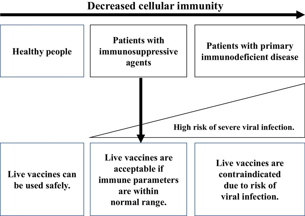Ped_Neph's tweet photo. The use of live attenuated vaccines in patients w/immunosuppressive agents is contraindicated in package inserts &amp; guidelines in Japan &amp; other countries. Read this Review of live attenuated vaccination of patients receiving immunosuppressants &amp; more.
https://t.co/9nJpjXsyxL https://t.co/VJpBiigNIT