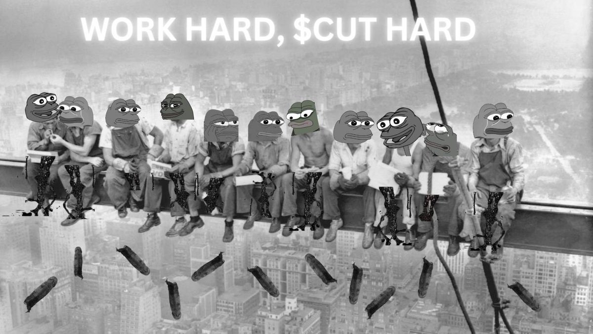 CUT tweet media