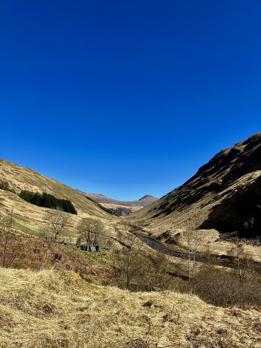 AlexMacD19's tweet photo. Beinn Bhuidhe https://t.co/8mgaSBgL6w