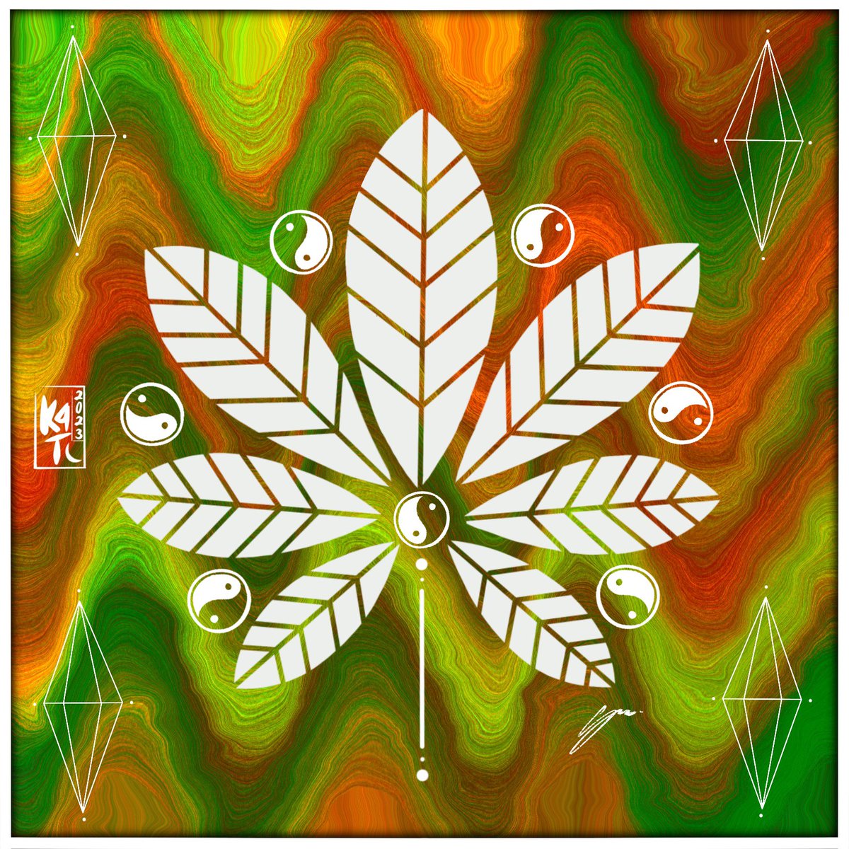 ★K4T★ tweet media