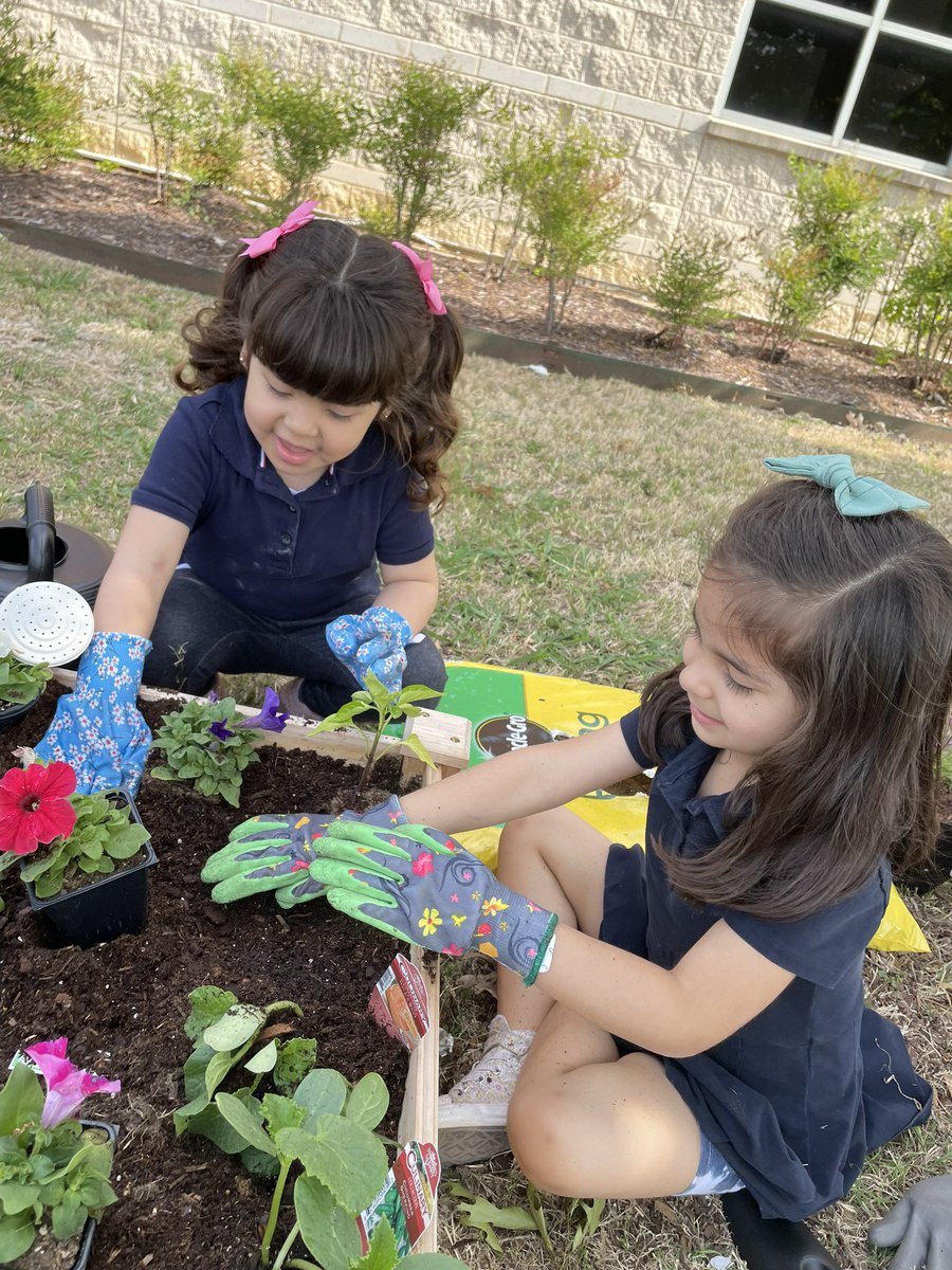 Spent our morning doing our part for the environment 🌎 We love our planet and we love our garden 🫶🏼🪴🌸🪻