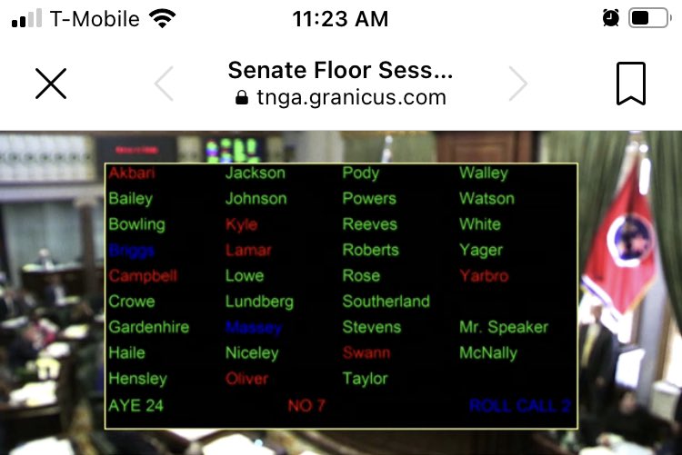 We will not forget who threw up their hands and said we will do nothing after #covenantchristianschool #TNAssembly #TNLeg Those who do nothing are in green.
