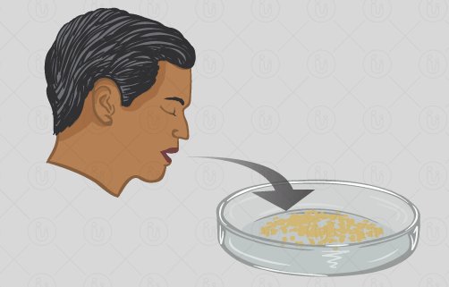 Luke Turner 🦠 tweet media