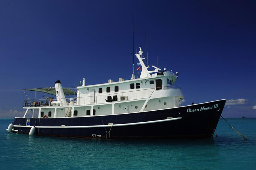 Diveguidecom's tweet photo. Up To $800 Off Philippines Aggressor
https://t.co/LFmUojNMSi

Up To 25% Off Ocean Hunter 3
https://t.co/KsJG15TeoY https://t.co/UYzA5nDLKO