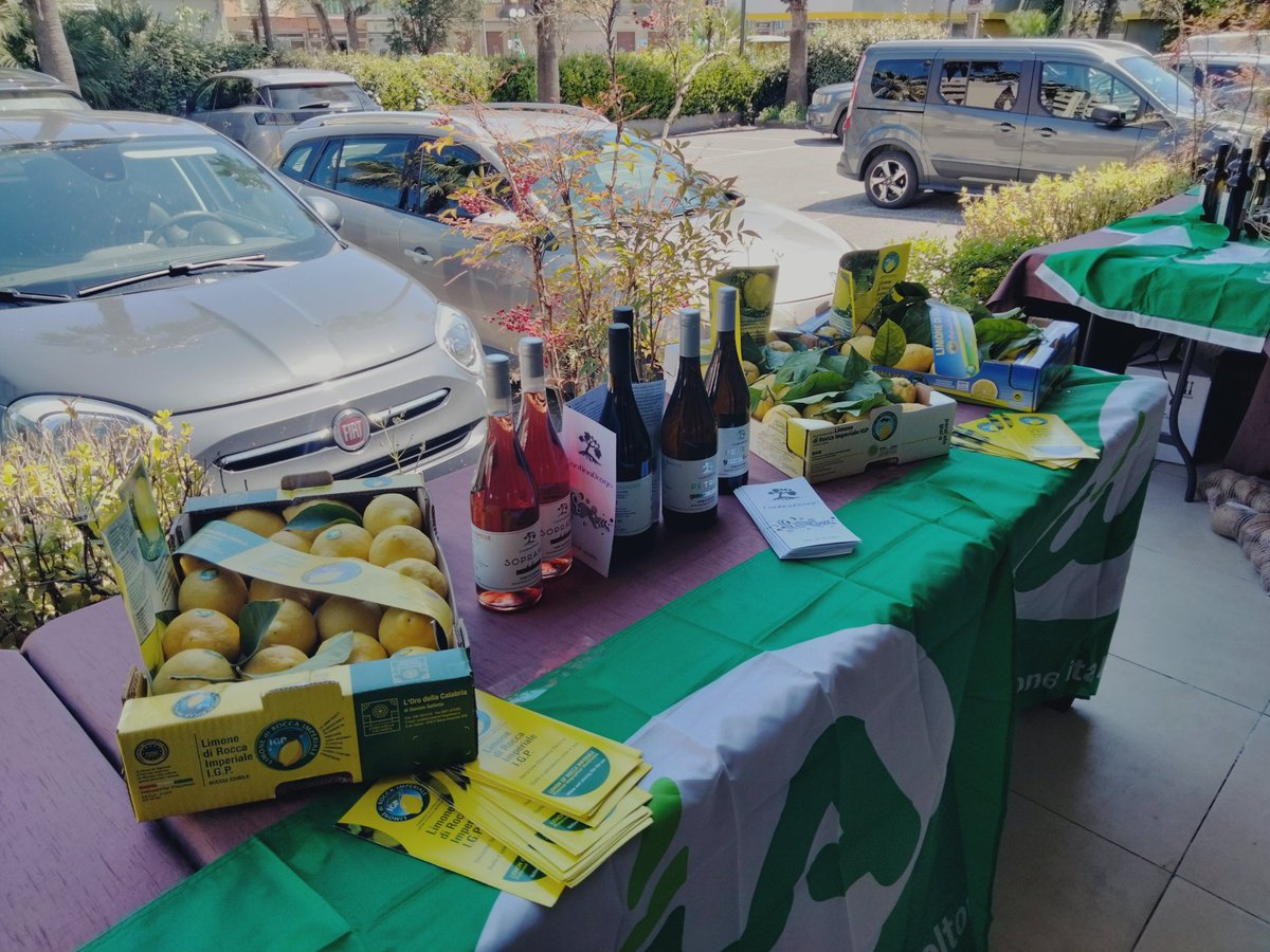 GIOVANNIDROGO2's tweet image. 