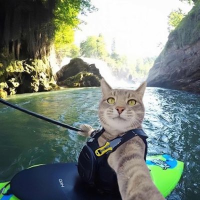 LRywang's tweet image. #新头像