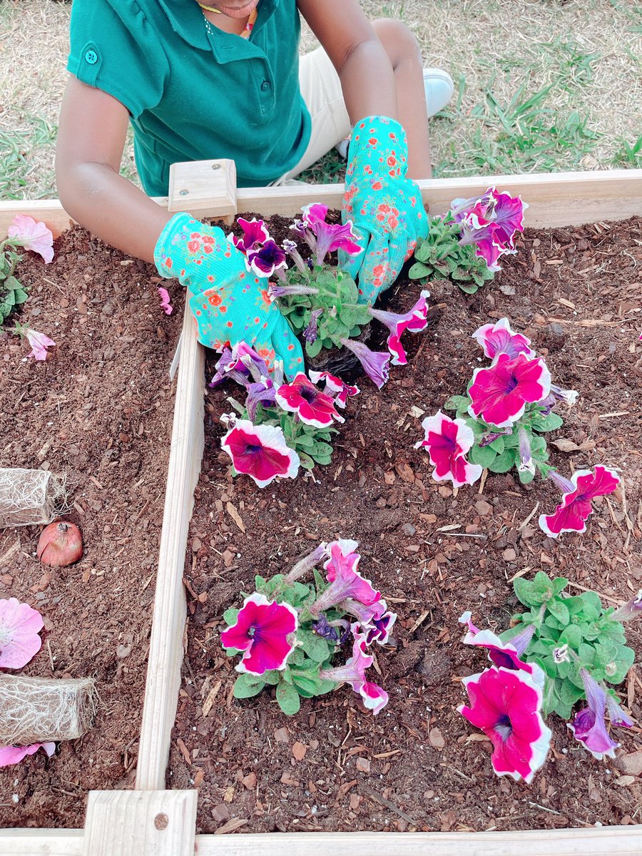 LuzRamirez427's tweet photo. In honor of Earth Day this weekend, our CMA children got to work their green thumbs! ✨ #EarthDay2023 #crowleyprideunified #montessori @CrowleyISD https://t.co/1bm1VNzsj5