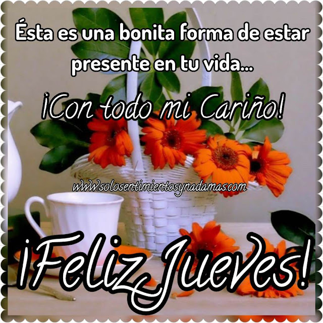 En este bonito día🌼🇻🇪🙏…
 Que Dios vaya delante de ti como guía👣 detrás
 de ti como protector y a tu lado como tu lado como tu dulce compañía🥐😋 Feliz Jueves
#ManoDeHierro
@ludwing_hans 
@yenny_escorche 
@luis16684716 
@Rafaelrs110 @Dl14859264 @kristof8419  @RazziLuis @jsk24