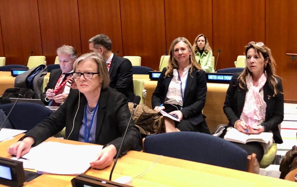 Sweden is committed to support work on @INFFplatform⁩. We believe INFFs can serve as plattform to attract finance for the SDGs w PPPs and SDG-sovereign bonds says ⁦@SidaCarin⁩ in Ecosoc during #FfD2023 special section on INFFs. ⁦@Sida⁩ ⁦@UNDESA⁩ ⁦@UNDP⁩