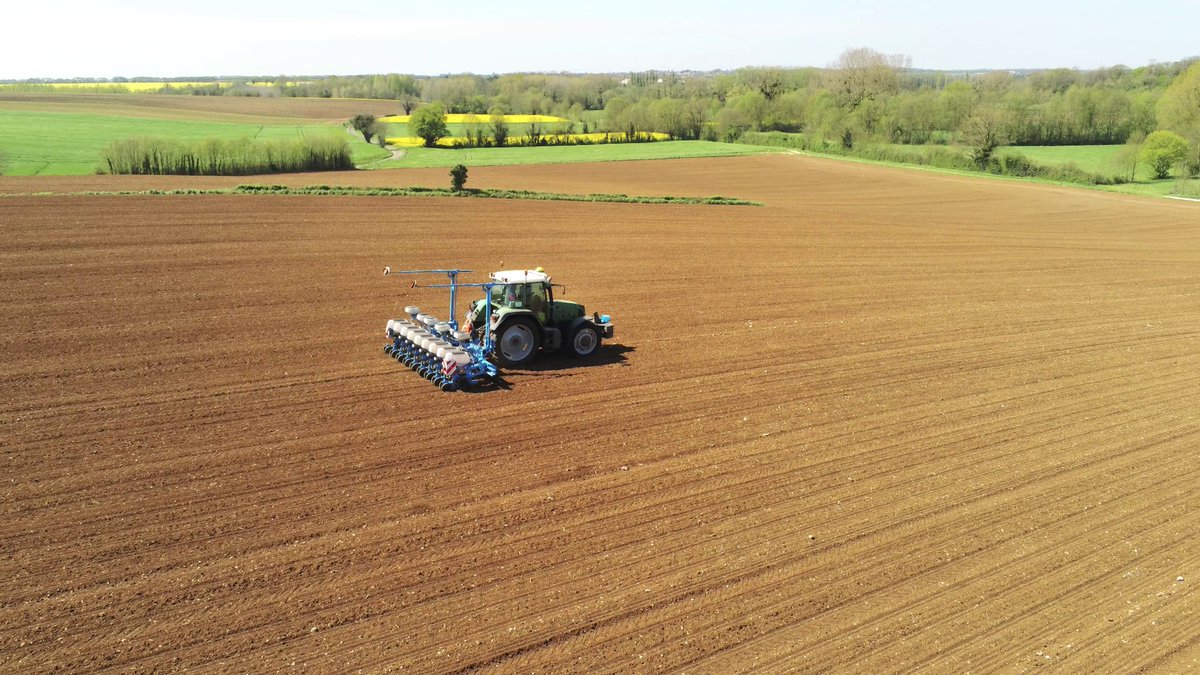 SPionneau (@spionneau) on Twitter photo @BiolineFrance Année 2: C'est parti pour l'essai modulation avec la coop Sèvre et Belle (79). Même principe que N-1: 2 variétés #maïs 🌽<a href="/Semences_France/">Semences de France</a> WILLIANO et FELIXIO, 4 densités, et 3 zones de potentiel avec <a href="/beApi_AgP/">BeApi🎯🌾👨🏻🌾🌱😁🌽💻🚜🎯</a> le but? Préconiser la bonne dose au bon endroit 💰🚜 @BiolineFrance Année 2: C'est parti pour l'essai modulation avec la coop Sèvre et Belle (79). Même principe que N-1: 2 variétés #maïs 🌽<a href="/Semences_France/">Semences de France</a> WILLIANO et FELIXIO, 4 densités, et 3 zones de potentiel avec <a href="/beApi_AgP/">BeApi🎯🌾👨🏻🌾🌱😁🌽💻🚜🎯</a> le but? Préconiser la bonne dose au bon endroit 💰🚜
