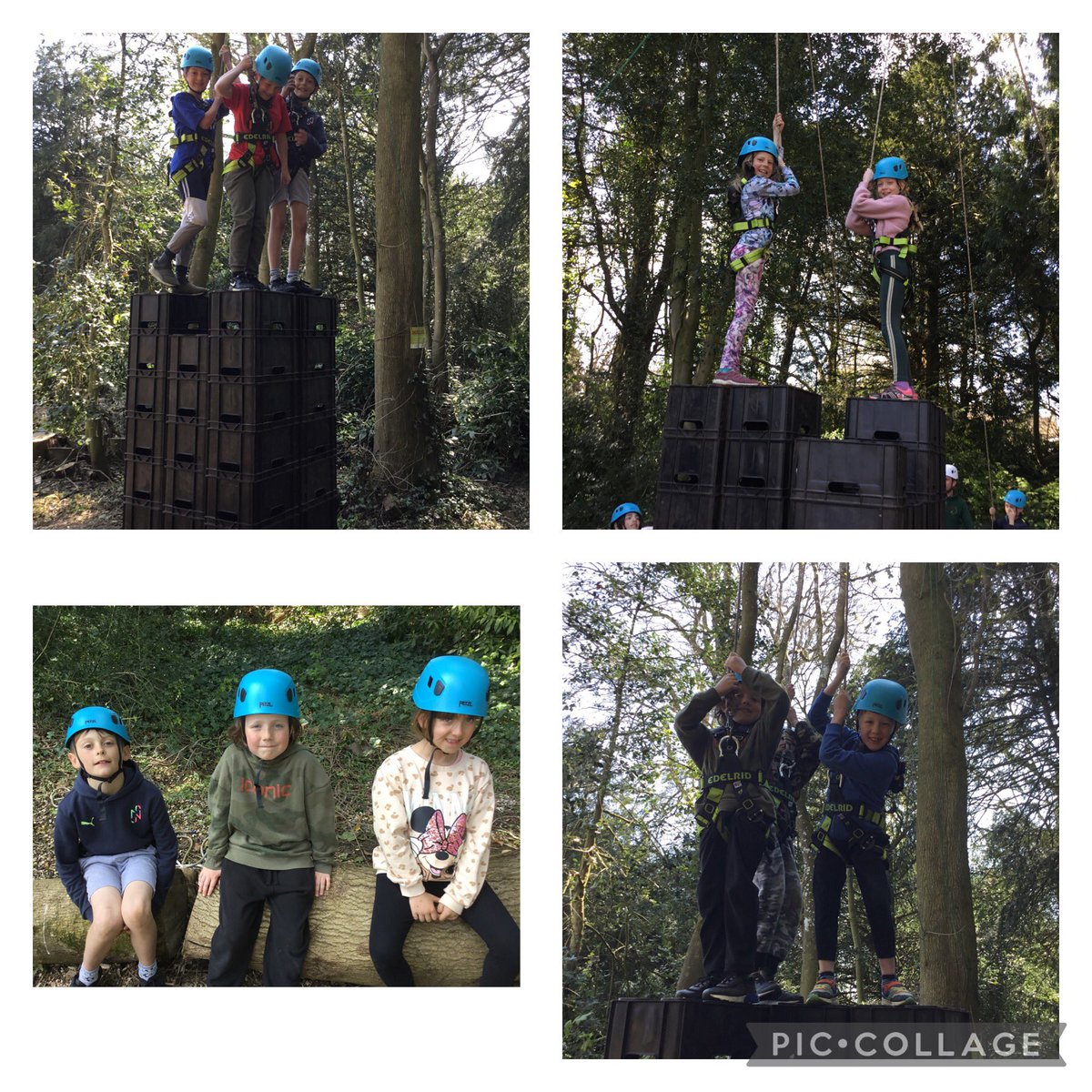 MrsBarratt tweet media