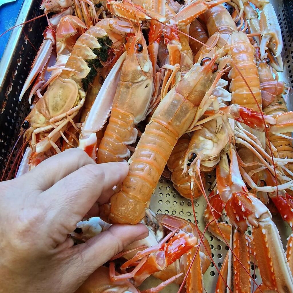 Parkers Arms tweet media