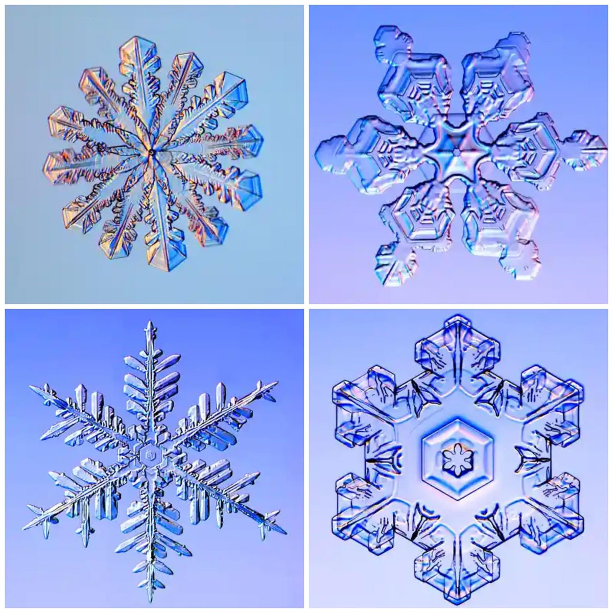 AvatarDomy's tweet photo. Spectacular photos taken by Kenneth Libbrecht, professor of physics at the California Institute of Technology.  Do you think that he has been studying snowflakes, ice patterns, crystal growth 1/1🧵 https://t.co/HZrjbR9llX