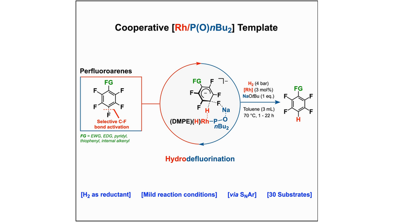 A Cooperative Rhodium/Secondary Phosphine Oxide [Rh/P(O)nBu2] Template for Catalytic Hydrodefluorination of Perfluoroarenes (Christophe Werle and co-workers) @WerleLab @mpicec_press #openaccess thanks to #projektDEAL onlinelibrary.wiley.com/doi/10.1002/an…