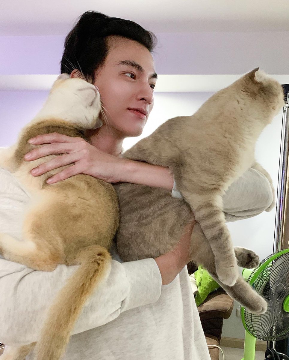 HeartofGulf_TH's tweet photo. ใครถ่ายรูปให้ป๋มตัวใหญ่นะปะป๊าาา 😁

IG : hazardisacat

#อาซาร์แมวเซา 
#น้องอาซาร์ของพี่กลัฟ https://t.co/SzeAYb9YpN