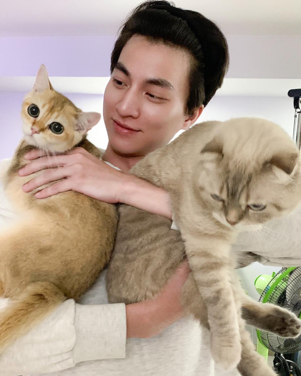 HeartofGulf_TH's tweet photo. ใครถ่ายรูปให้ป๋มตัวใหญ่นะปะป๊าาา 😁

IG : hazardisacat

#อาซาร์แมวเซา 
#น้องอาซาร์ของพี่กลัฟ https://t.co/SzeAYb9YpN
