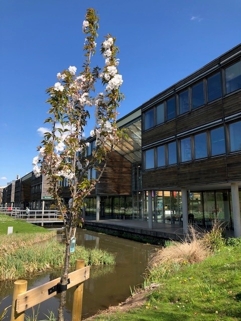 UoNSoE's tweet photo. Spring has definitely sprung on #JubileeCampus. We have baby #BeastsOfUoN from our pair of Egyptian geese and there's flowers and blossom blooming everywhere! https://t.co/BBeNW5CHuo
