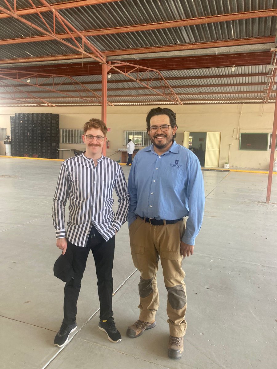 Alison Bentley tweet media