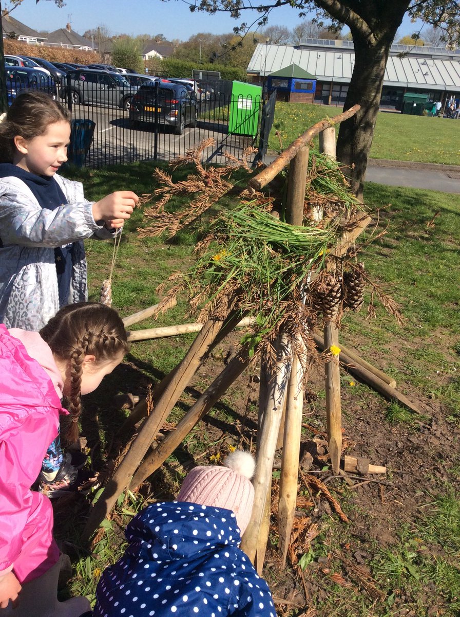 StMary_ofAngels's tweet photo. Year 1 had a fabulous morning at Forest School making magic beans, Beanstalks and The character of Jack #edsential https://t.co/aOcocMQK6M