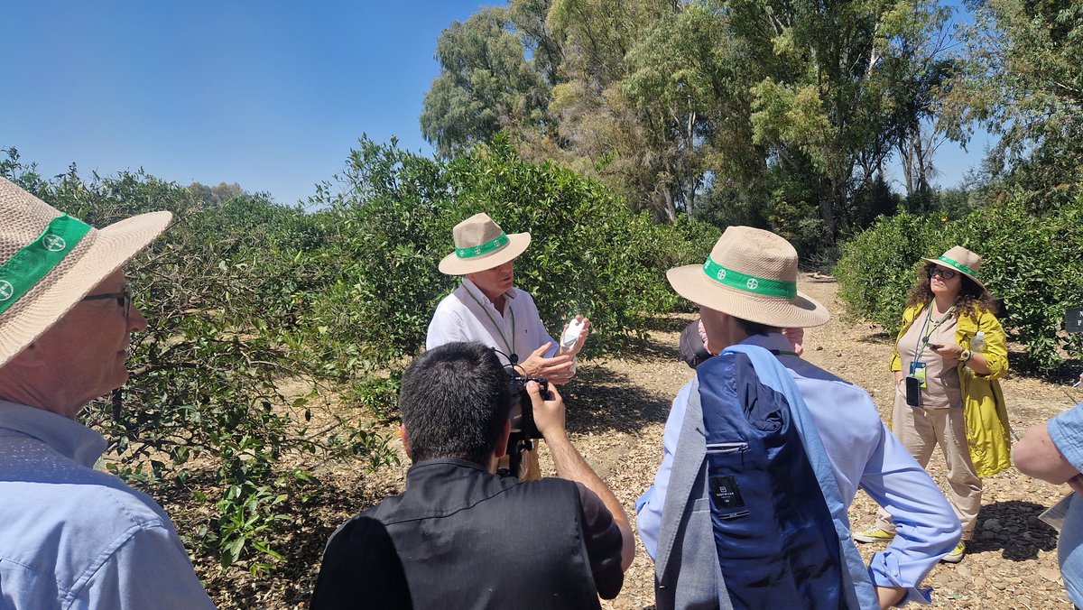 Bayer4CropsES's tweet photo. 🚜🧑🌾 Tras la jornada es la hora de ponernos los sombreros y visitar la Hacienda Las Cárdenas todos juntos para conocer qué medidas y soluciones se están implementando en esta #BayerForwardFarming para mostrás una agricultura sostenible en la práctica. https://t.co/39R7zpywPi