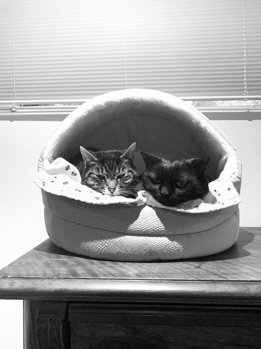 Today's Reader Case Study subject could use your love and support. Please offer your advice to Neko as she struggles to overcome compulsive spending: frugalwoods.com/2023/04/20/rea…