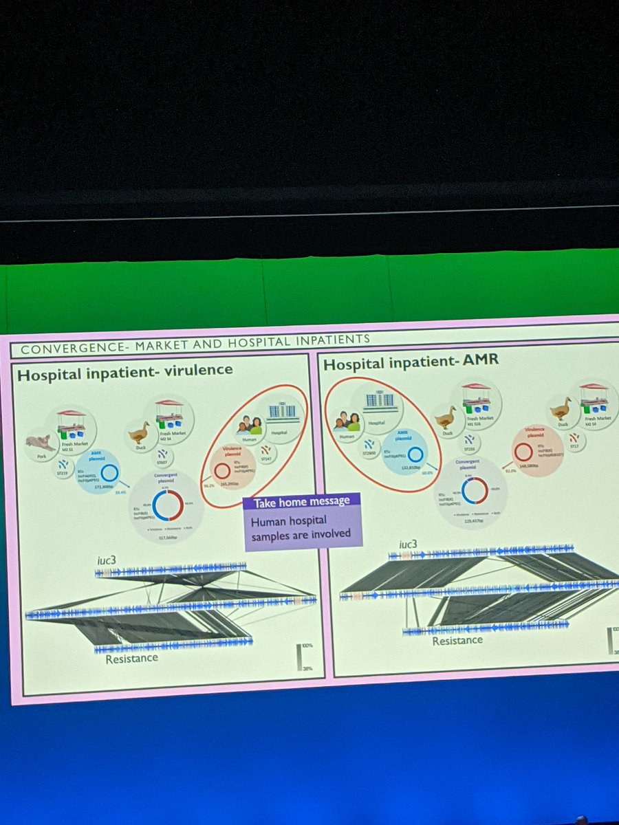 RowanCallumGre1's tweet photo. Super cool talk by @KeiraCozens about the joining of virulence and AMR plasmids in Klebsiella with E.coli also 'chipping in' pieces of the hybrid plasmid! #microsoc23 https://t.co/PtZmtOSoep