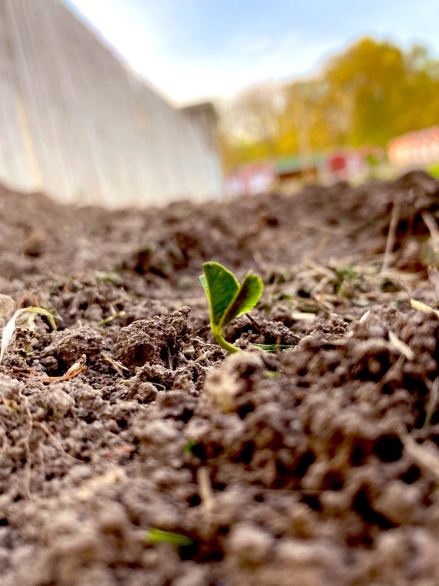 ᴇᴅᴅɪᴇ 🌻 tweet media