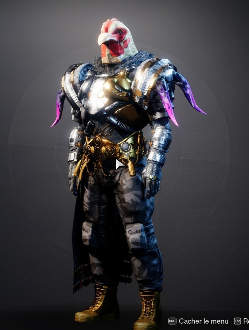 TERMINATOR_05's tweet photo. @DestinyGameFR Un dieu parmi les dieux https://t.co/9UAHixL4At