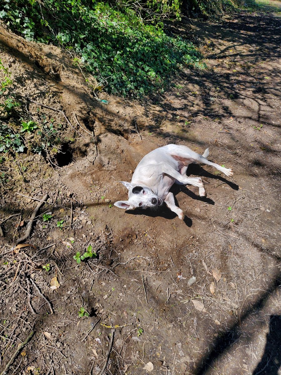 clmxbox's tweet photo. When ya find a hole.... ya gotta roll #daftarse xxx ๐๐ https://t.co/ZepNoMIAJ2