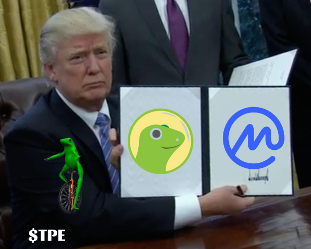 TrollPEcoin's tweet photo. $TPe Submitted form and will available on @coingecko  and @CoinMarketCap soon!!

#TPe #meme #ARB #PEPE https://t.co/FOuNEAdawA